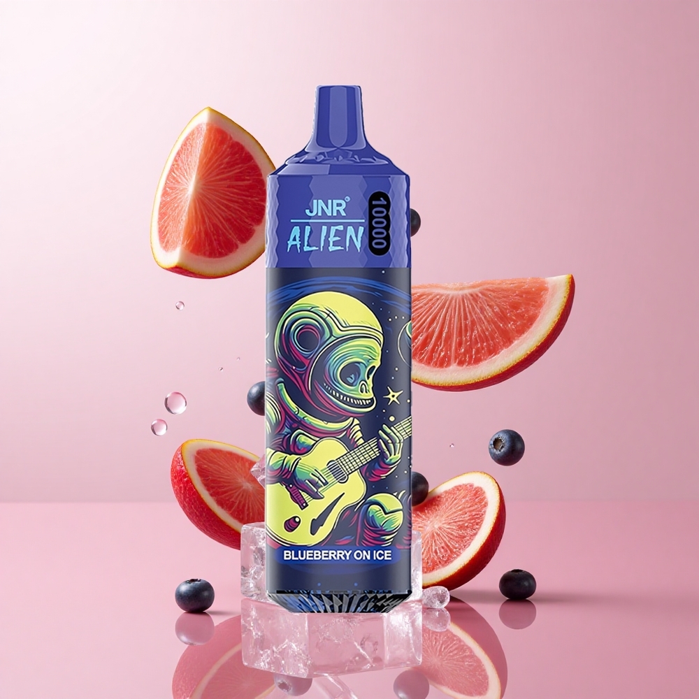 JNR Alien 10000 Puffs Myrtille Glacée 850mAh LED wholesale Suisse