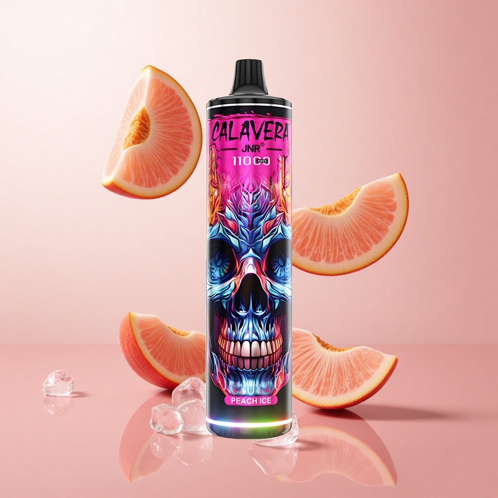 JNR Calavera 11000 Puffs Pêche Glacée Port Type-C wholesale Suisse