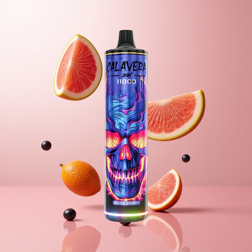 JNR Calavera 11000 Puffs Vape Jetable Baies Mixtes Port de Chargement Type-C wholesale Suisse