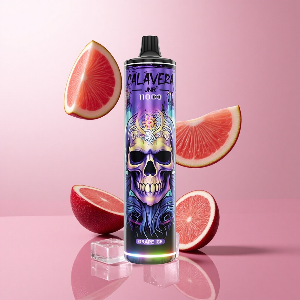 JNR Calavera 11000 Puffs Vape Jetable Glace Raisin Port Type-C 21ml E-Liquide wholesale Suisse
