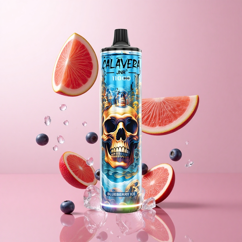 JNR Calavera 11000 Puffs Vape Jetable Glace à la Myrtille avec Port de Chargement Type-C et 21ml de E-Liquide wholesale Suisse
