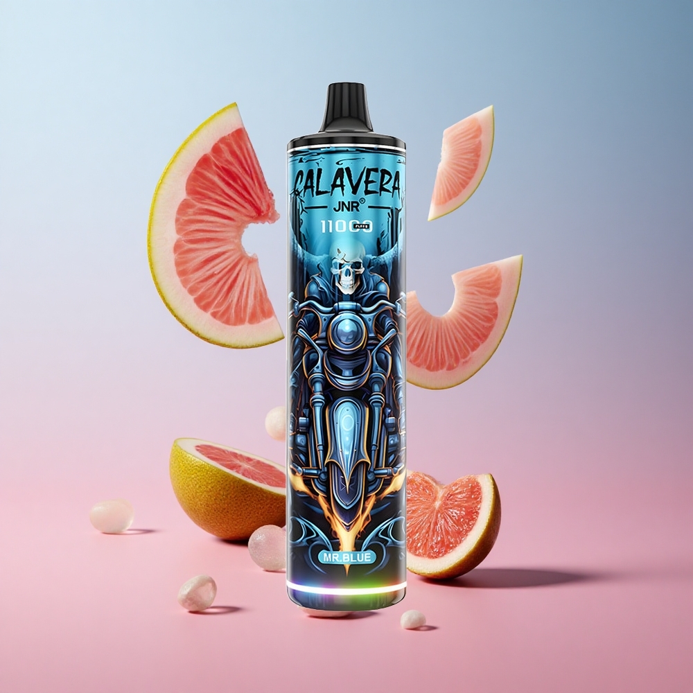 JNR Calavera 11000 Puffs Vape Jetable Mr Bleu Port Type-C 21ml E-Liquide wholesale Suisse