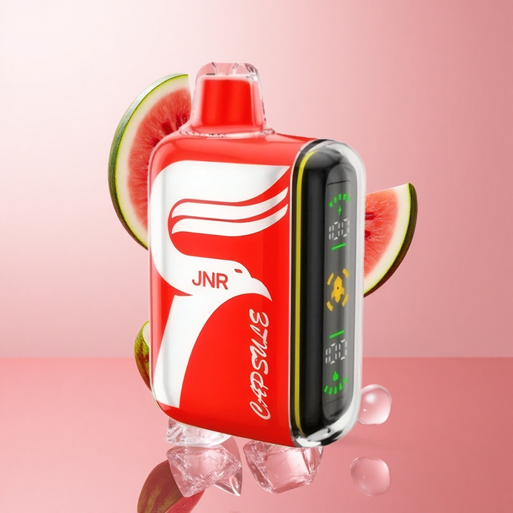 JNR Capsule 15000 Puffs Pastèque Glacée 20ml 850mAh wholesale Suisse