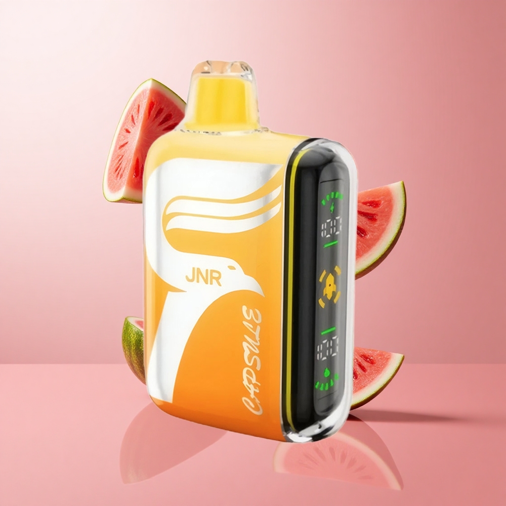 JNR Capsule 15000 Puffs Pastèque Litchi 850mAh Dual Mesh Coil wholesale Suisse