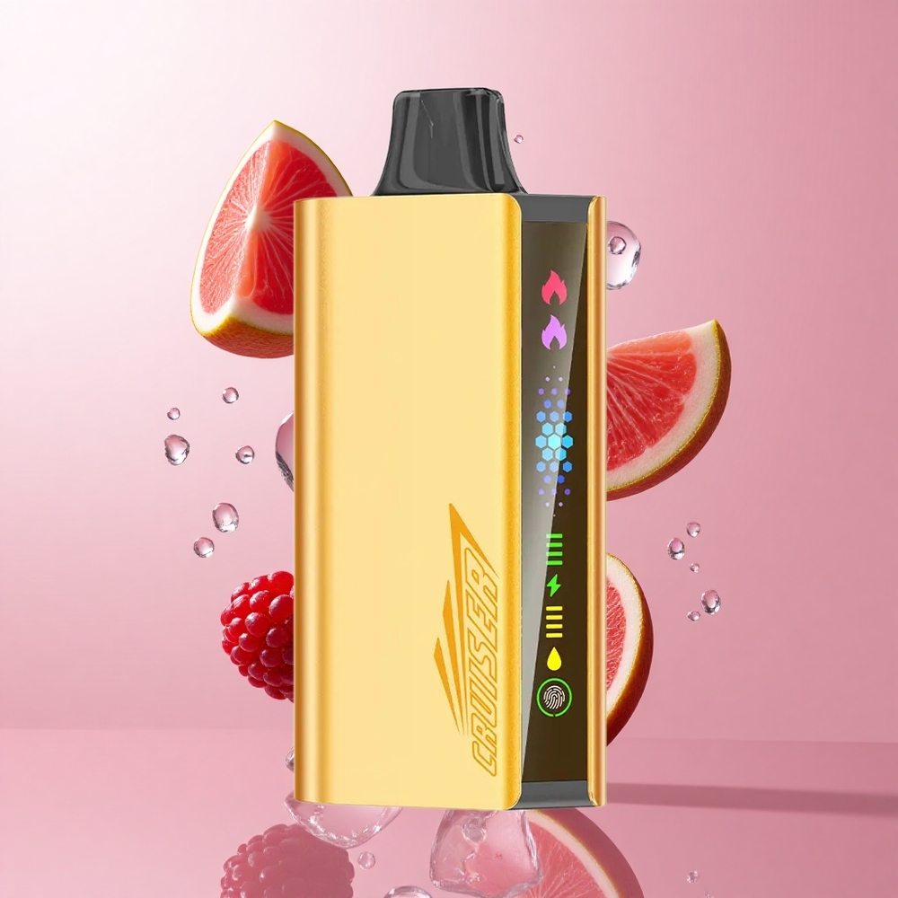 JNR Cruiser 12000 Puffs Blackberry Glace Vape Jetable Sans Recharge écran Animé wholesale Suisse