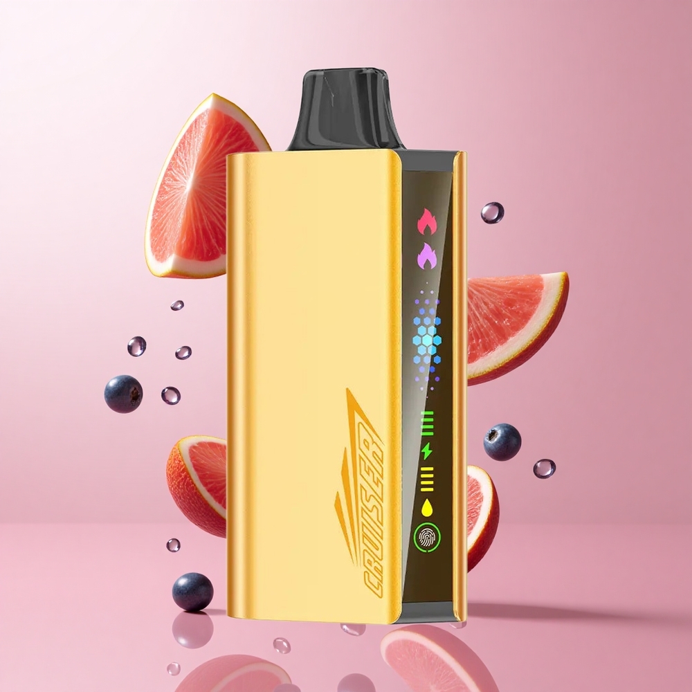 JNR Cruiser 12000 Puffs Explosion de Myrtille No-Charge Vape Jetable 25ml E-liquide wholesale Suisse