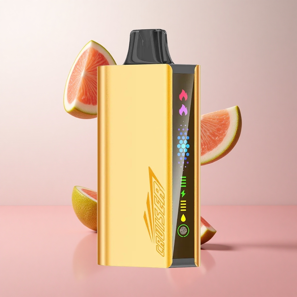 JNR Cruiser 12000 Puffs Menthe Glaciale Vape Jetable Sans Recharge 3500 mAh wholesale Suisse