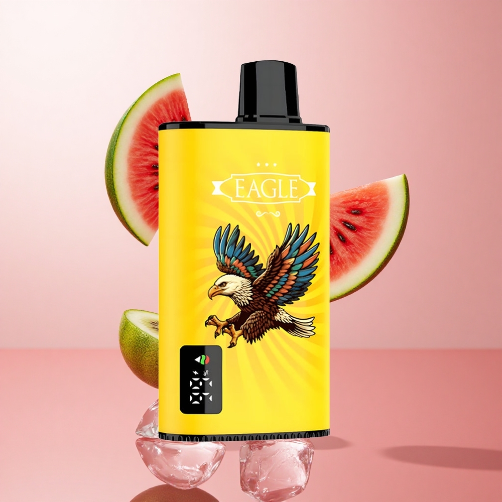 JNR EAGLE Smart 23000 Puffs Kiwi Pastèque Glacée Écran Numérique wholesale Suisse