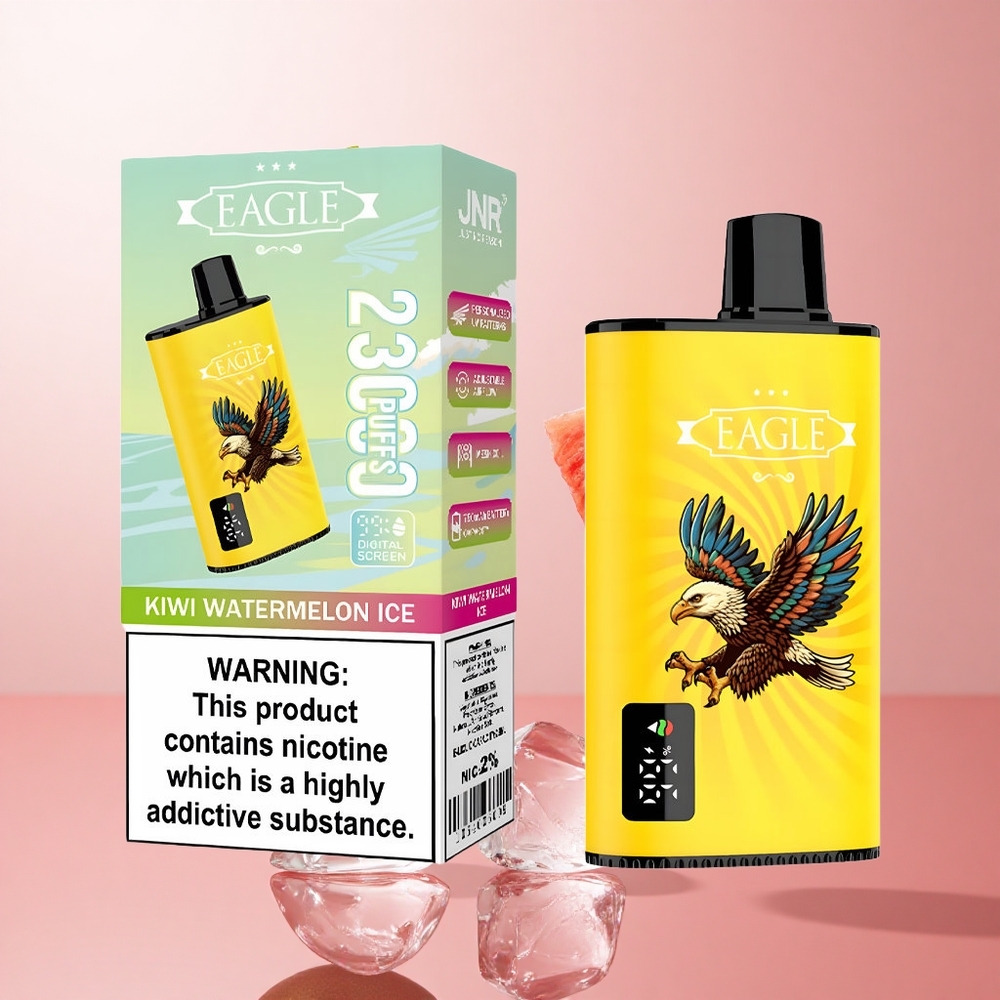 JNR EAGLE Smart 23000 Puffs Kiwi Pastèque Glacée Écran Numérique wholesale Suisse