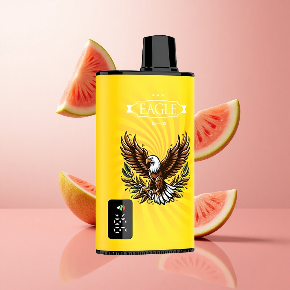JNR EAGLE Smart 23000 Puffs Pêche Mangue Pastèque Écran Digital 25ml e-Liquid wholesale Suisse