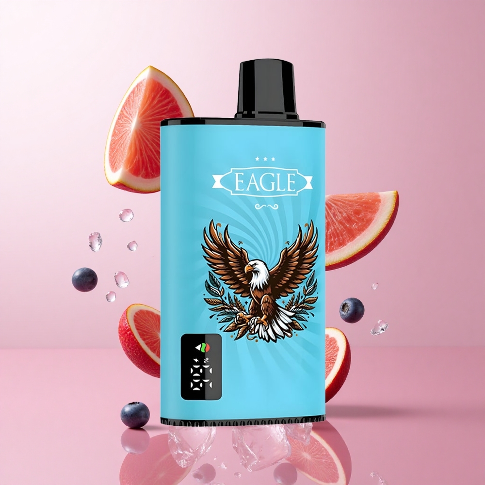 JNR EAGLE Smart 23000 Puffs Vape Jetable Glace Myrtille Écran Numérique wholesale Suisse