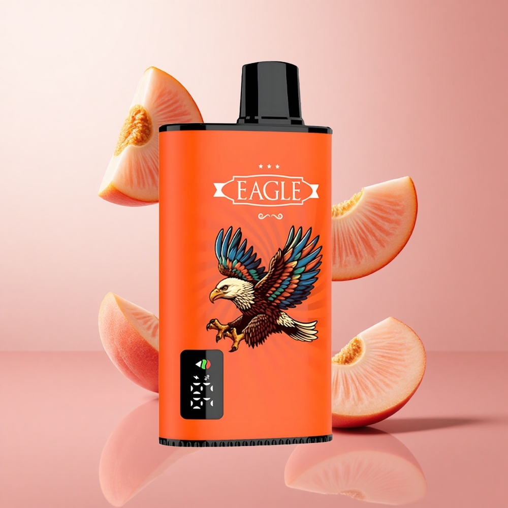 JNR EAGLE Smart 23000 Puffs Vape Jetable Pêches Juteuses Écran Digital wholesale Suisse