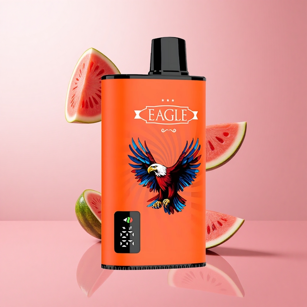 JNR EAGLE Smart 23000 Puffs Vape Jetable Pastèque Bubblegum Ecran Digital wholesale Suisse