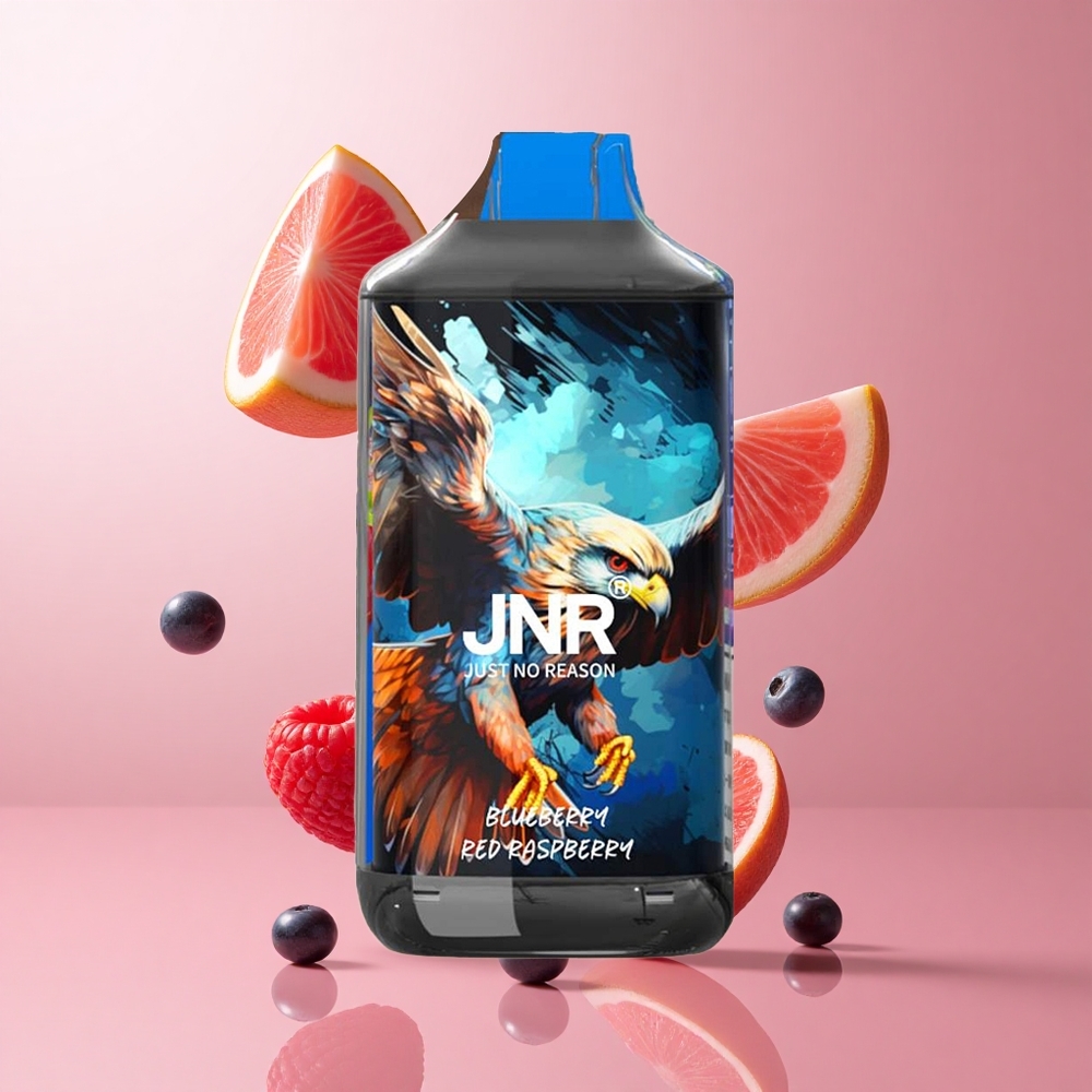 JNR Falcon 16000 Puffs Myrtille Framboise Rouge Dual Mesh Coil LED Display wholesale Suisse