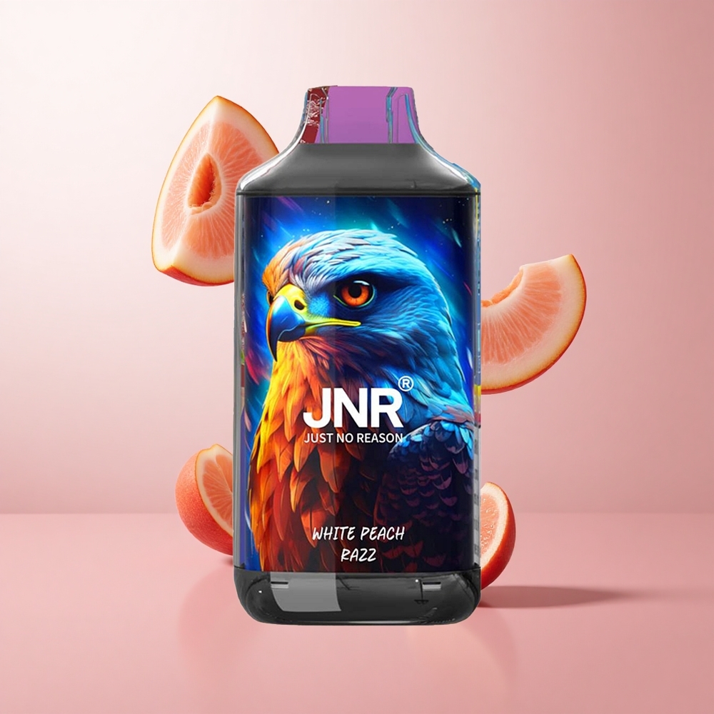 JNR Falcon 16000 Puffs Pêche Blanche Framboise 22ml LED Smart wholesale Suisse