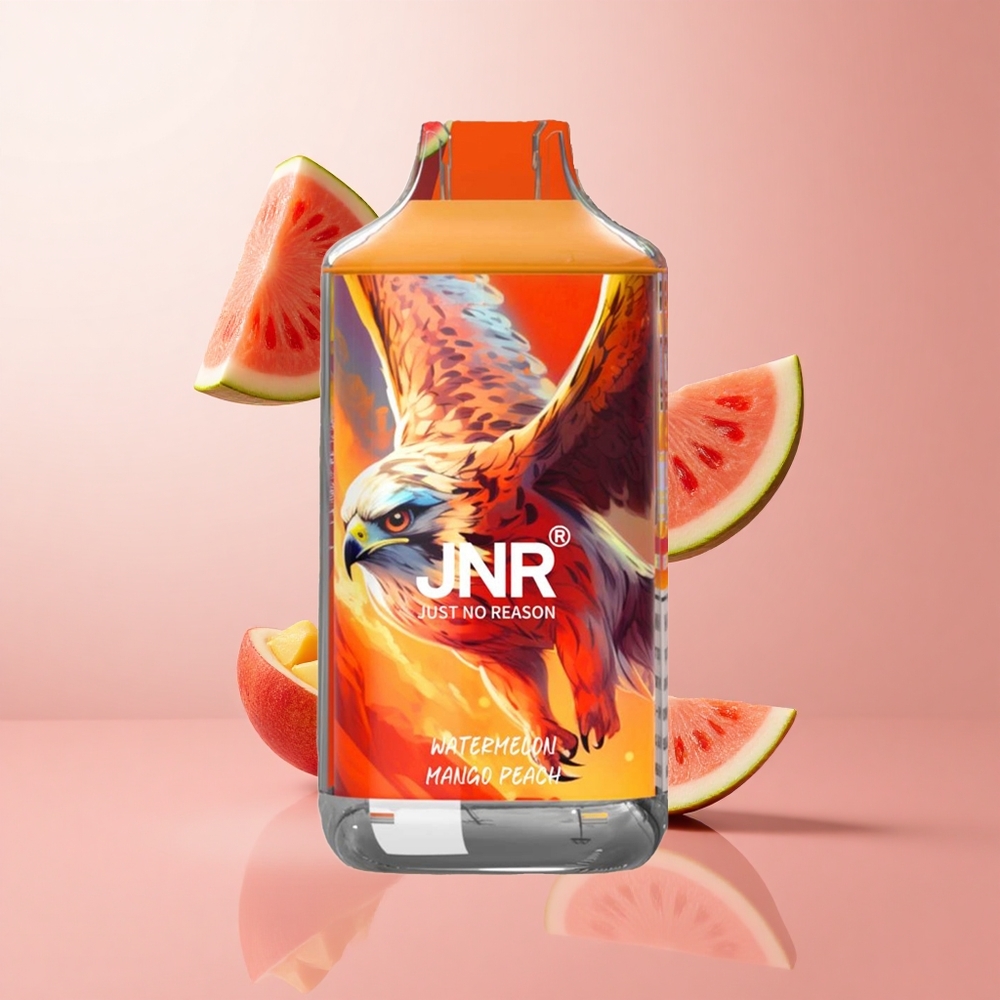 JNR Falcon 16000 Puffs Pastèque Mangue Pêche Double Mesh Coil wholesale Suisse