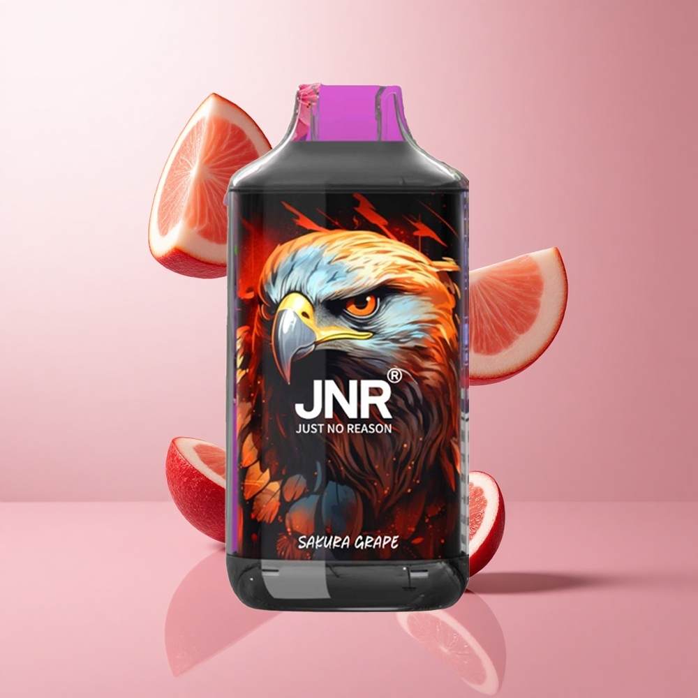 JNR Falcon 16000 Puffs Sakura Raisin Double Mesh Coil wholesale Suisse