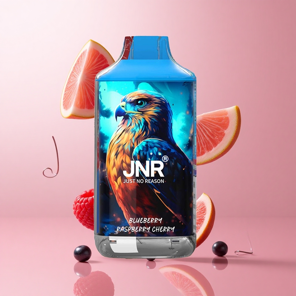 JNR Falcon 16000 Puffs Vape Jetable Myrtille Framboise Cerise avec 22ml E-liquide et Double Mesh Coil wholesale Suisse