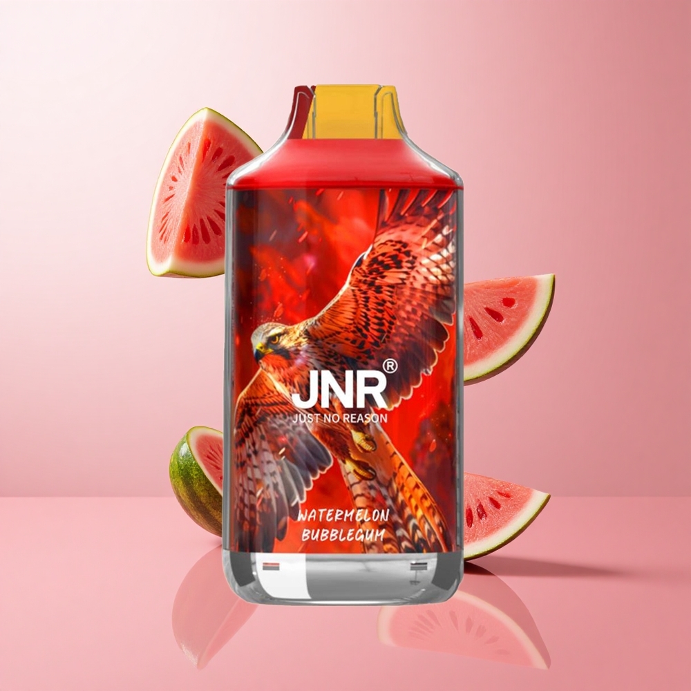JNR Falcon 16000 Puffs Vape Jetable Pastèque Bubblegum avec 22ml E-Liquide et Double Mesh Coil wholesale Suisse