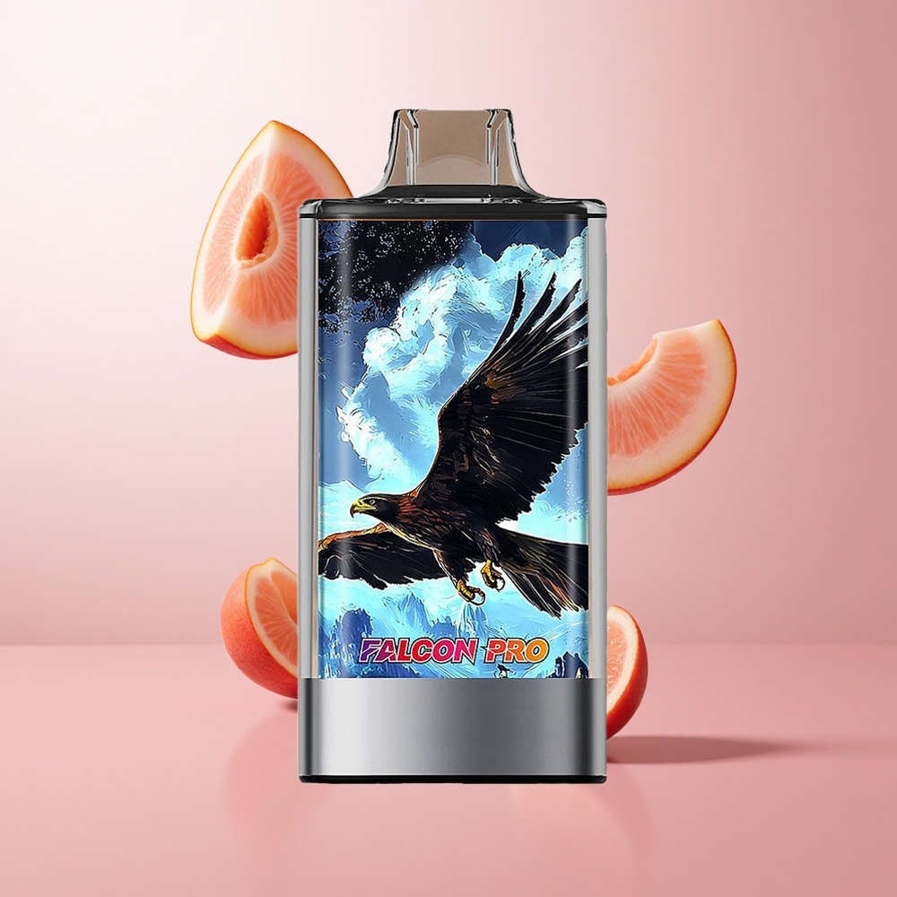 JNR Falcon Pro 28000 Puffs Pêche Blanche Framboise 30ml Prérempli wholesale Suisse