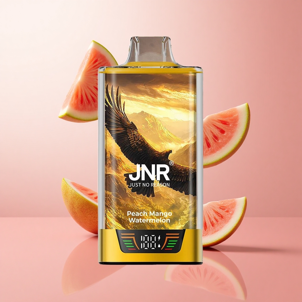 JNR Falcon Pro 28000 Puffs Pêche Mangue Pastèque 30ml Prérempli Dual Mesh wholesale Suisse