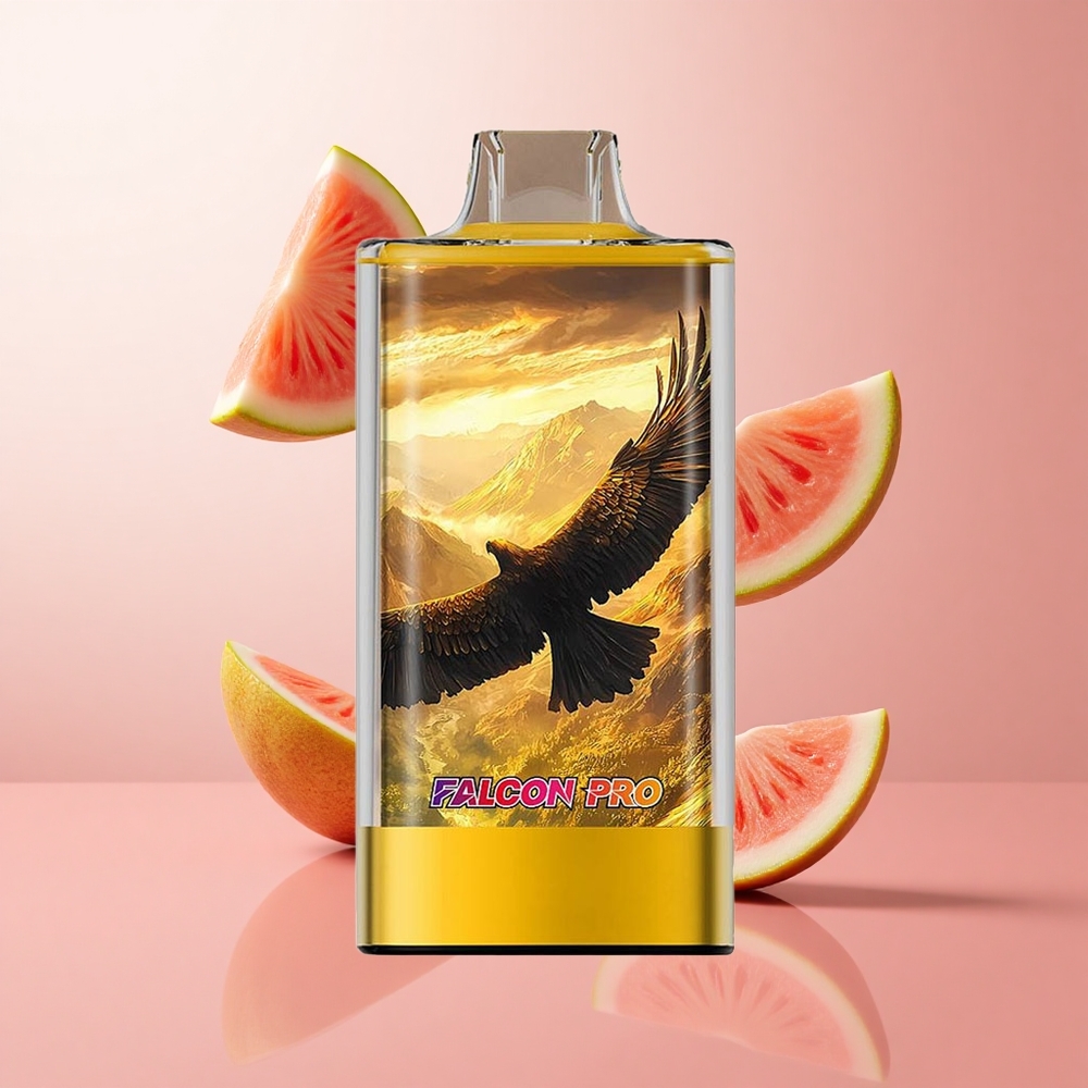 JNR Falcon Pro 28000 Puffs Pêche Mangue Pastèque 30ml Prérempli Dual Mesh wholesale Suisse