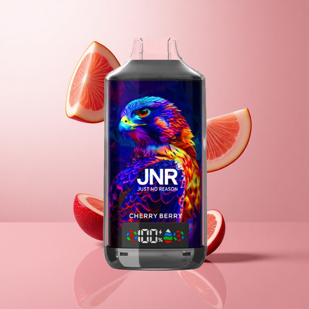 JNR Falcon X 18000 Puffs Cerise Baies Affichage Numérique wholesale Suisse