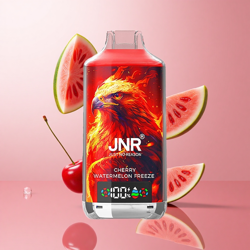 JNR Falcon X 18000 Puffs Cerise Pastèque Glacée Affichage Numérique wholesale Suisse