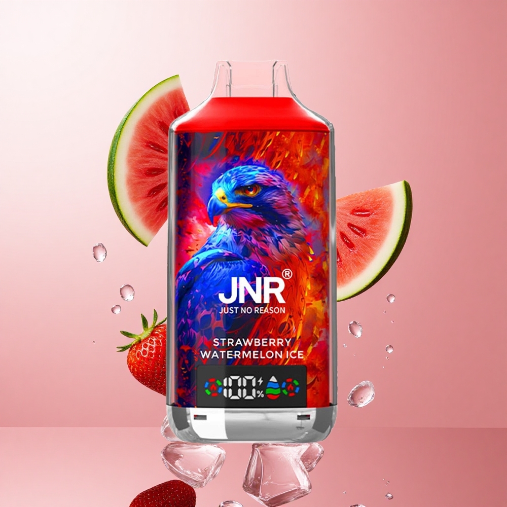 JNR Falcon X 18000 Puffs Fraise Pastèque Glacée avec Affichage Numérique & Charge Rapide Type-C wholesale Suisse