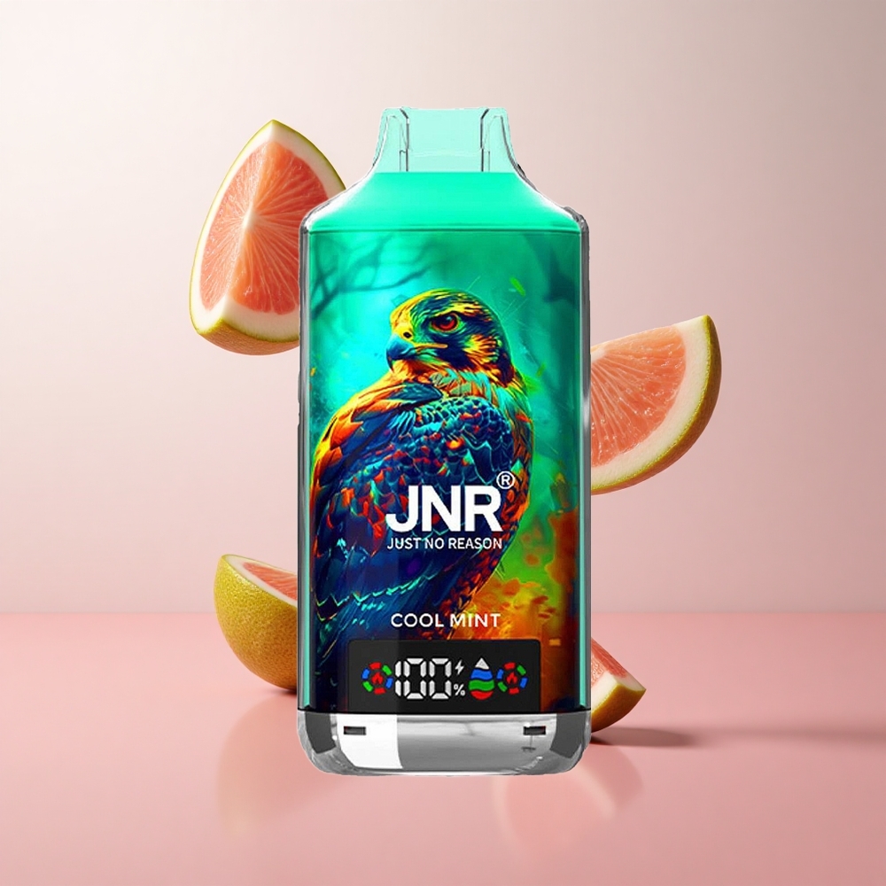 JNR Falcon X 18000 Puffs Menthe Glaciale 750mAh 24ml wholesale Suisse