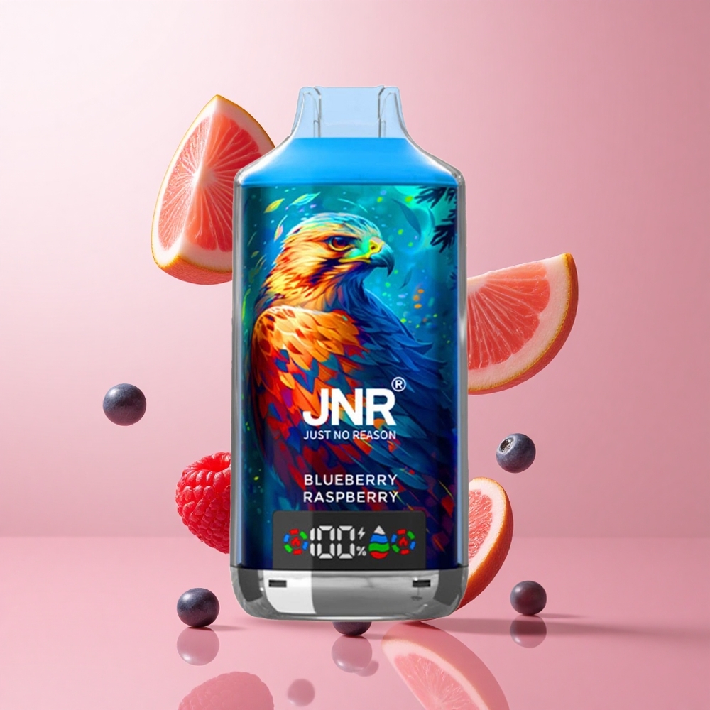 JNR Falcon X 18000 Puffs Myrtille Framboise Affichage Numérique wholesale Suisse