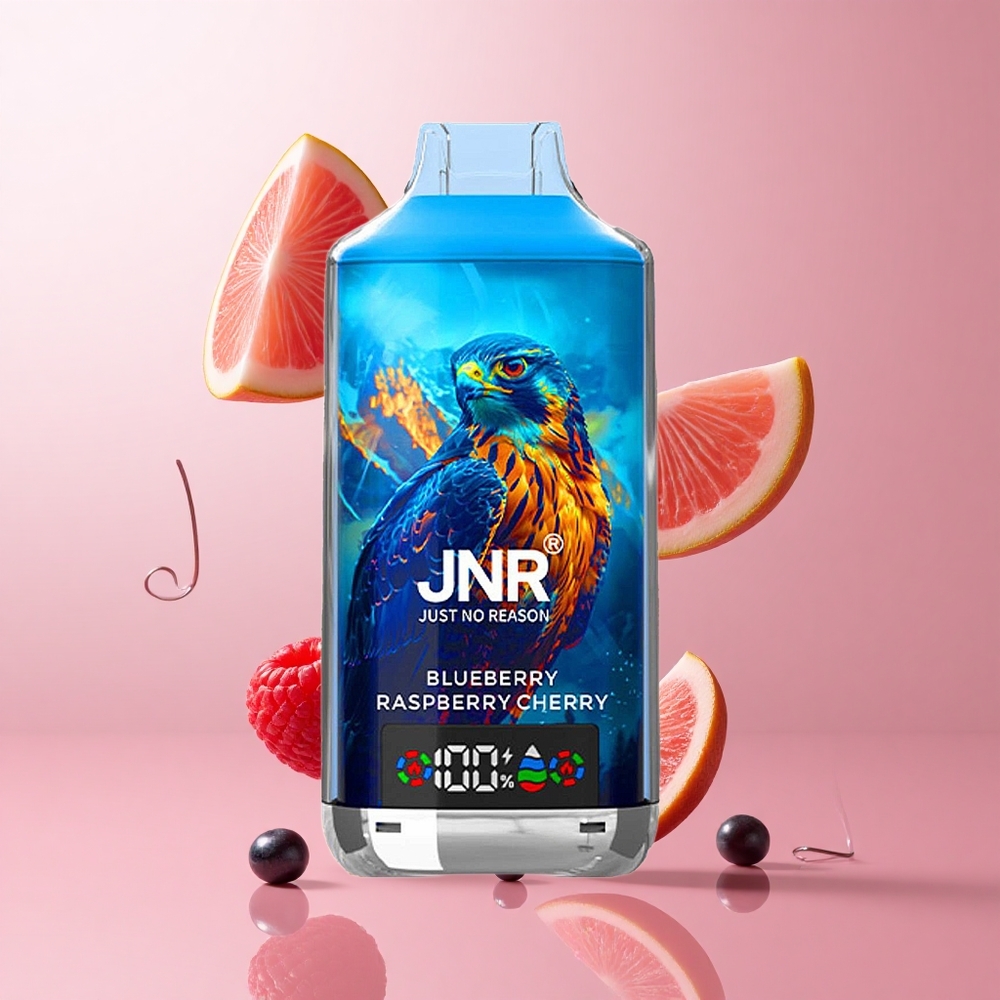 JNR Falcon X 18000 Puffs Myrtille Framboise Cerise Affichage Numérique Type-C wholesale Suisse