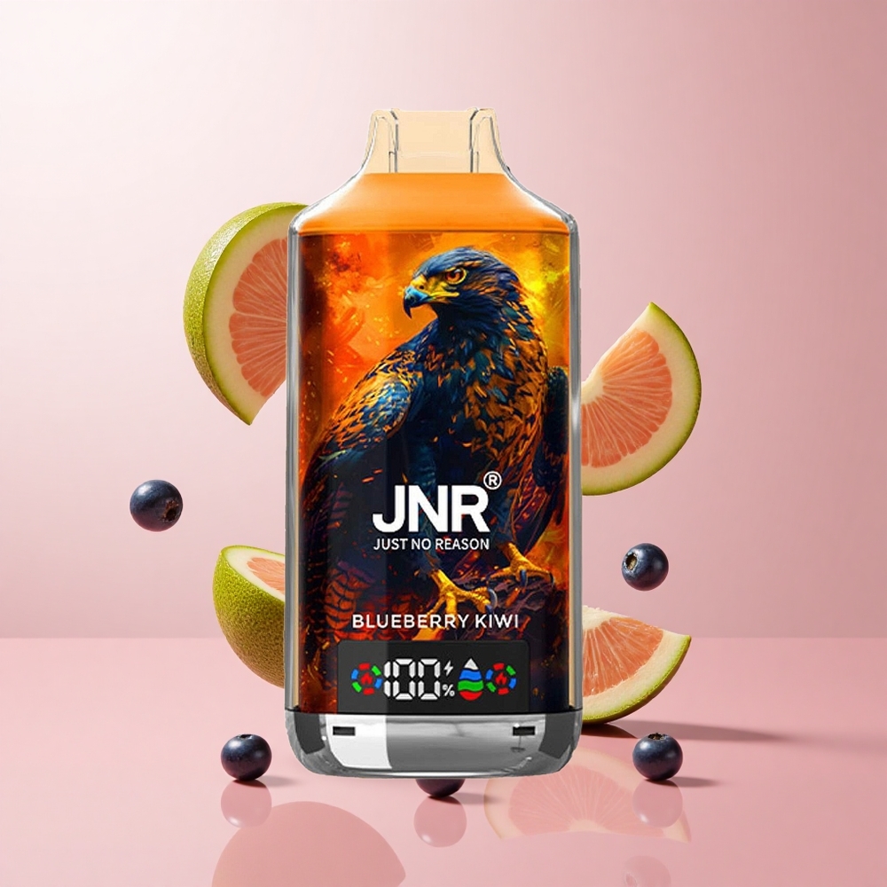 JNR Falcon X 18000 Puffs Myrtille Kiwi Affichage Numérique wholesale Suisse