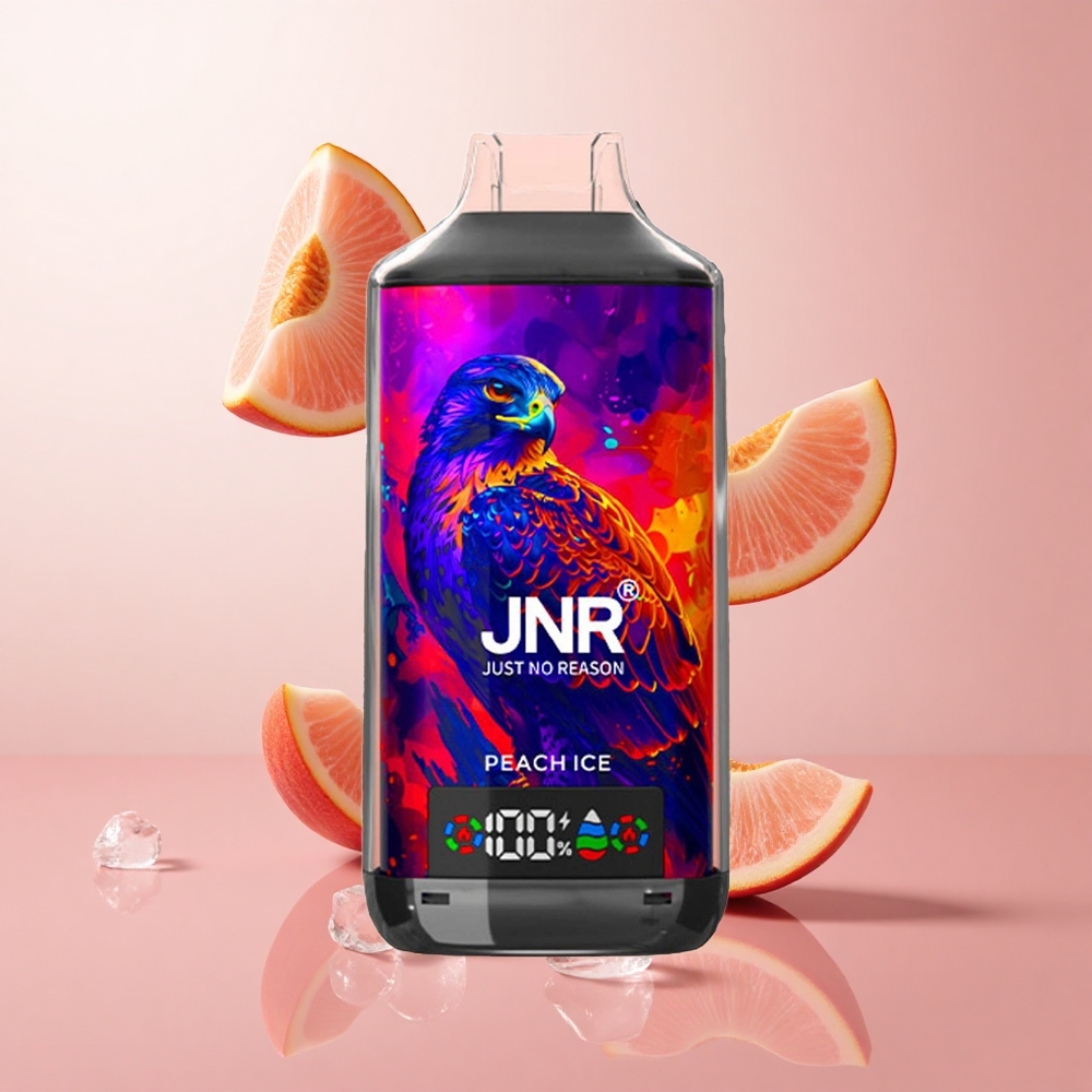 JNR Falcon X 18000 Puffs Pêche Glacée avec Batterie 750mAh et Recharge Type-C wholesale Suisse