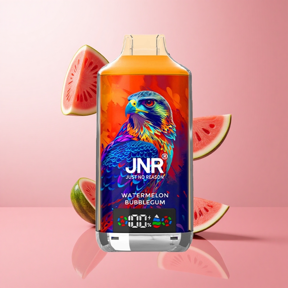 JNR Falcon X 18000 Puffs Pastèque Bubblegum Affichage Numérique wholesale Suisse