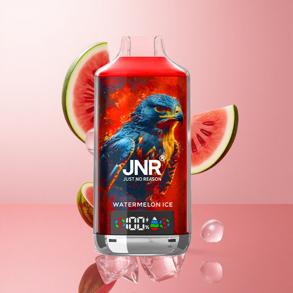 JNR Falcon X 18000 Puffs Pastèque Glacée Affichage Numérique wholesale Suisse