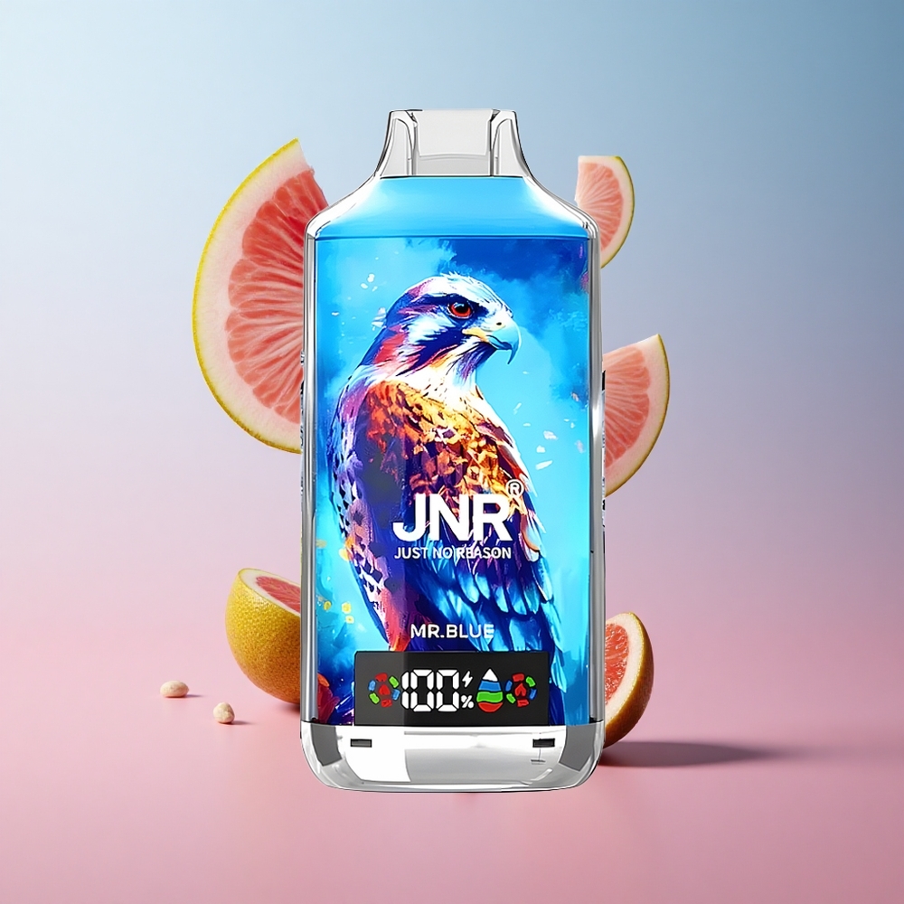 JNR Falcon X 18000 Puffs Vape Jetable Bleu Monsieur 24ml Ecran Numérique wholesale Suisse