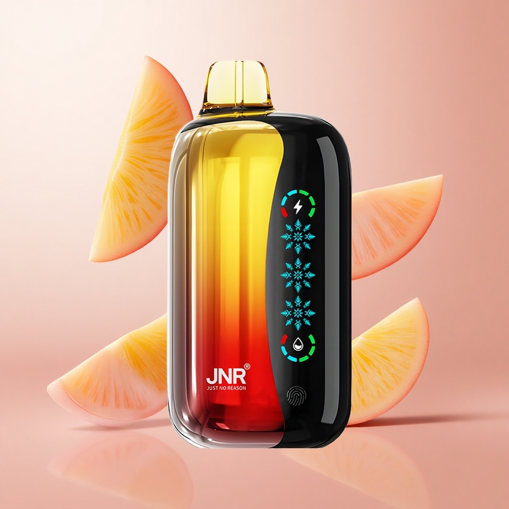 JNR Flex Ice 21000 Puffs Pêche Mangue Ananas Ice Adjustable 26ml E-liquide wholesale Suisse