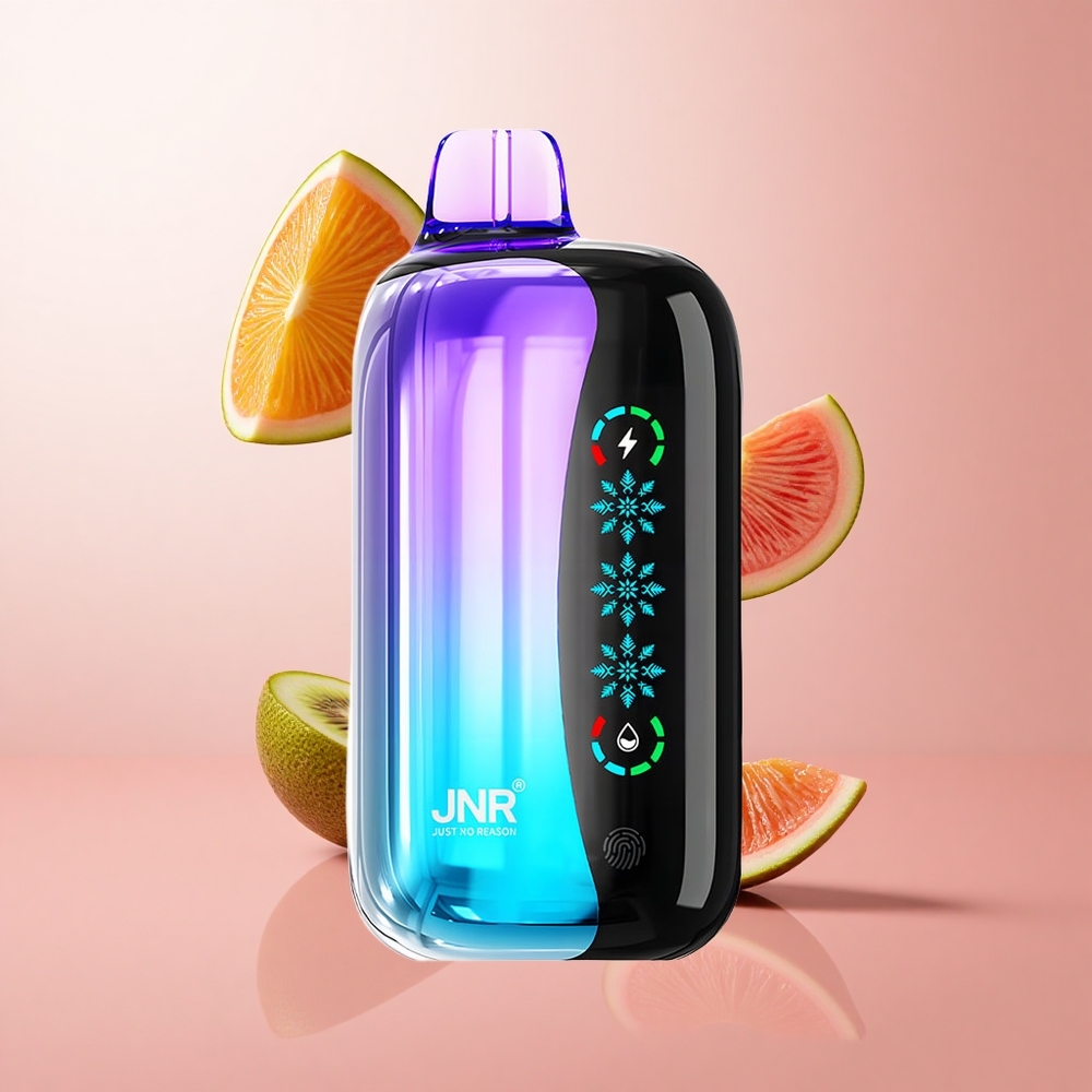 JNR Flex Ice 21000 Puffs Vape Disposable Kiwi Fruit de la Passion Goyave Ice Adjustable Touch Screen wholesale Suisse