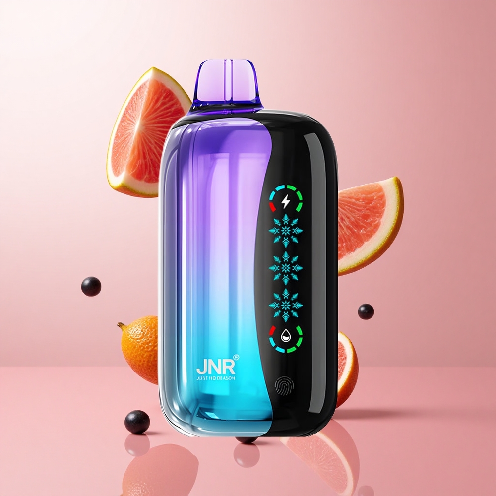 JNR Flex Ice 21000 Puffs Vape Jetable Baies Mixtes Ice Adjustable wholesale Suisse