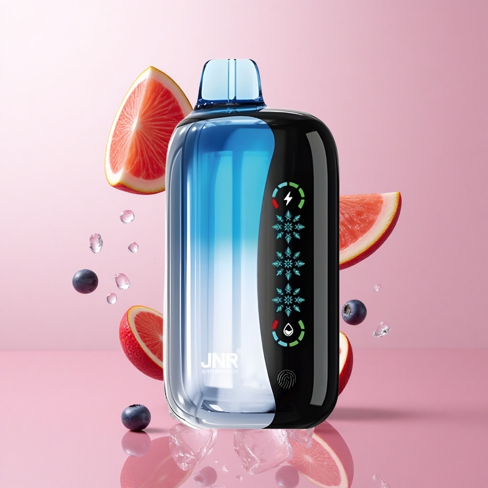 JNR Flex Ice 21000 Puffs Vape Jetable Myrtille Glacé 26ml E-liquide wholesale Suisse