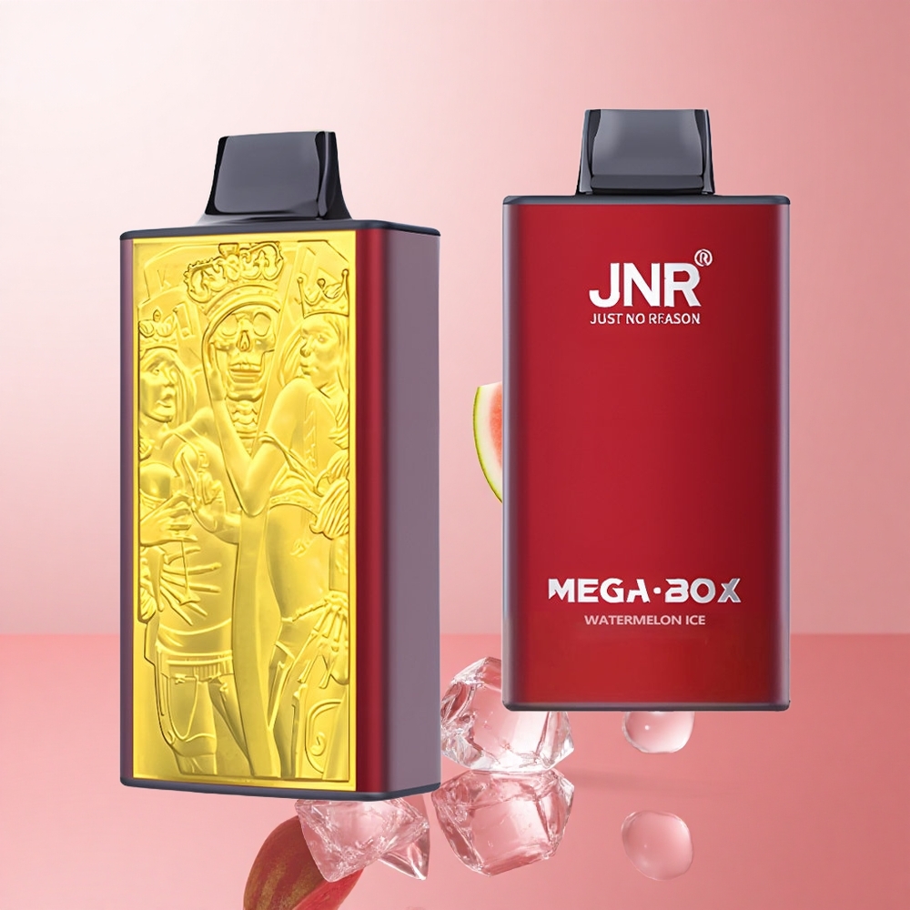 JNR Mega Box 25000 Puffs Pastèque Glacée Dual Mesh Coil wholesale Suisse