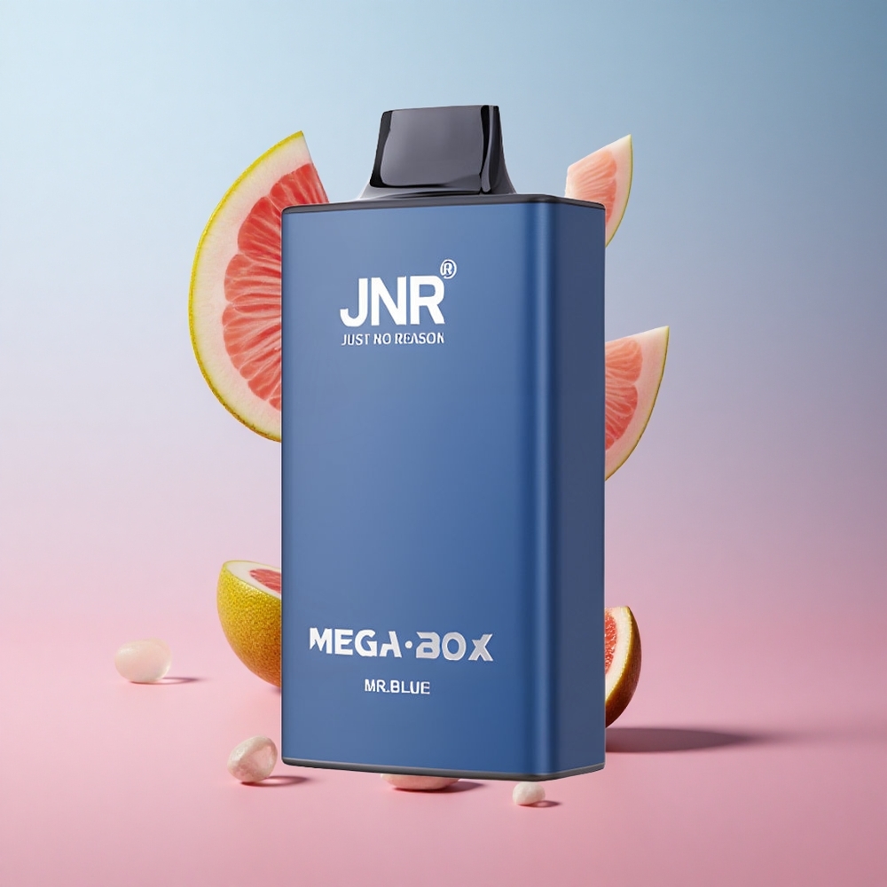JNR Mega Box 25000 Puffs Vape Jetable Bleu Mr 30ml Dual Mesh wholesale Suisse