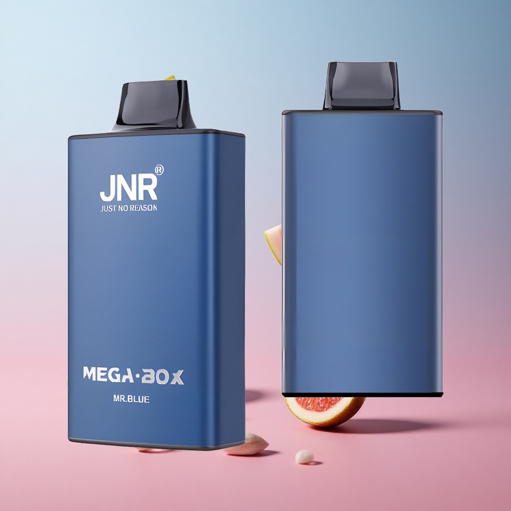 JNR Mega Box 25000 Puffs Vape Jetable Bleu Mr 30ml Dual Mesh wholesale Suisse