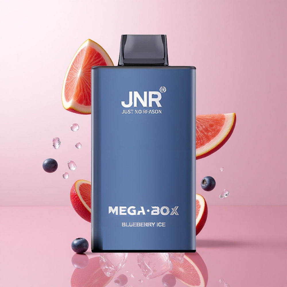 JNR Mega Box 25000 Puffs Vape Jetable Glace à la Myrtille 30ml Capacité wholesale Suisse