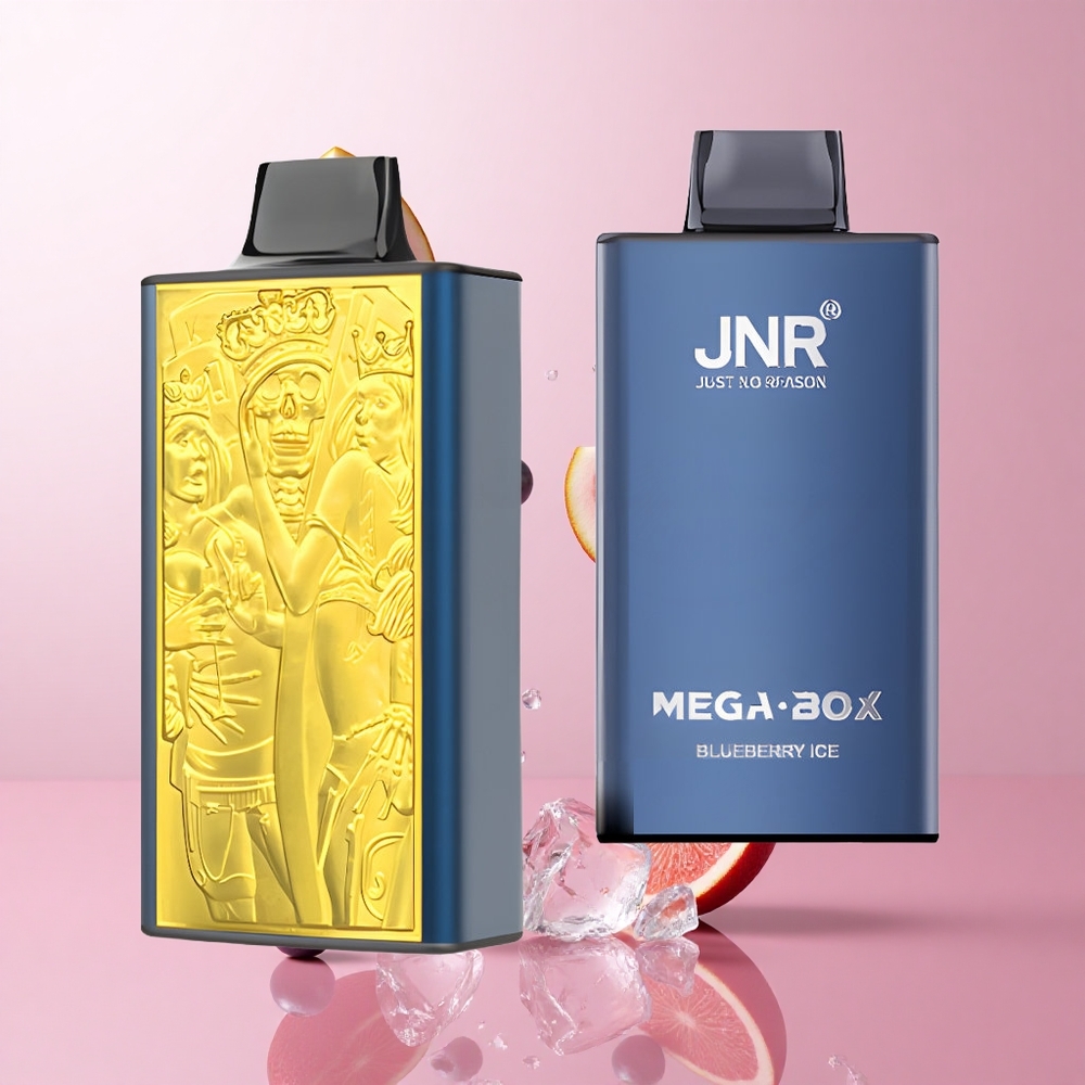 JNR Mega Box 25000 Puffs Vape Jetable Glace à la Myrtille 30ml Capacité wholesale Suisse