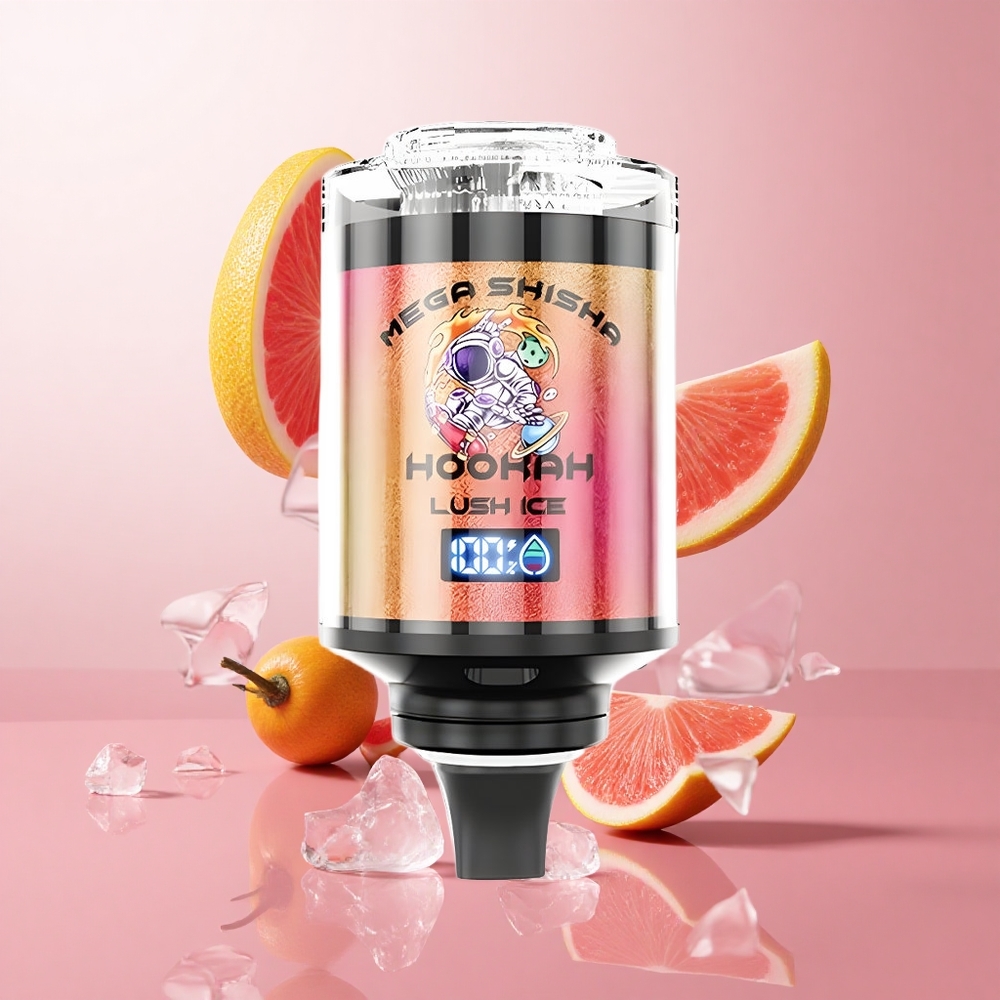 JNR Mega Shisha Hookah 100K Lush Ice (Glace Exquise) 60ml Capacité 2200mAh wholesale Suisse