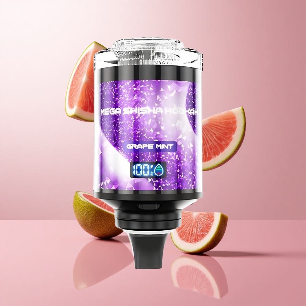 JNR Mega Shisha Hookah 100K Raisin Menthe Écran Intelligent wholesale Suisse