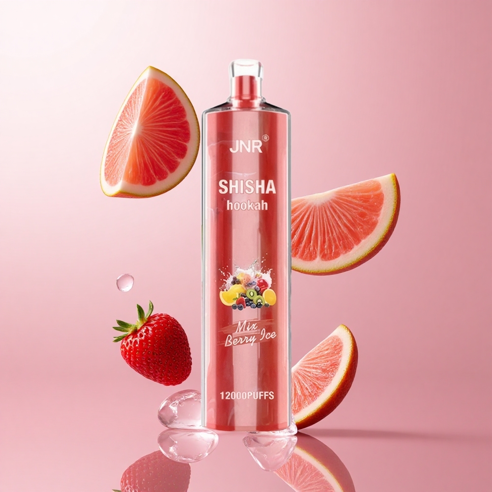 JNR Shisha Hookah 12000 Puffs Baie Glacée 24ml 750mAh wholesale Suisse