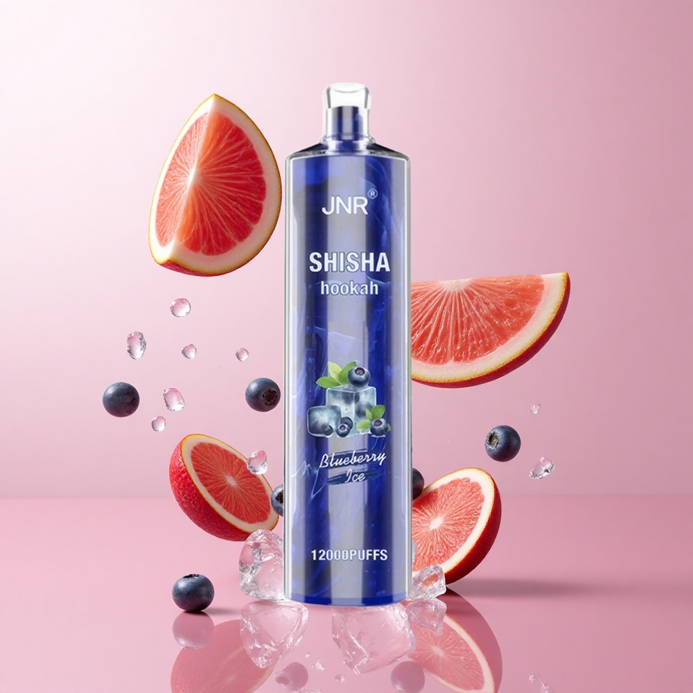 JNR Shisha Hookah 12000 Puffs Bleuet Glacé 750mAh 24ml wholesale Suisse